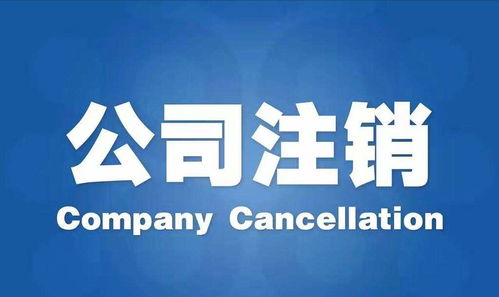 江蘇代理注冊公司信譽優良，專注廣告設計服務